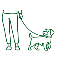 Dog Walking